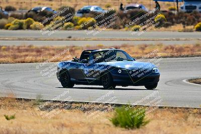 media/Nov-16-2024-Extreme Speed (Sat) [[6587d07cc4]]/Purple Group/Session 2 (Turns 3 and 5)/
